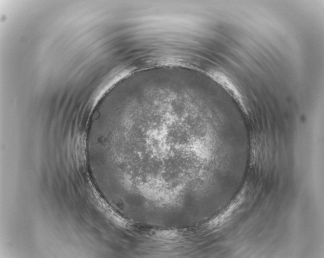 X0000087060798200704251028