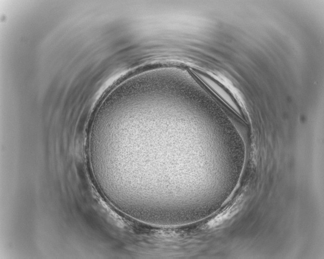 X0000087060799200704251028