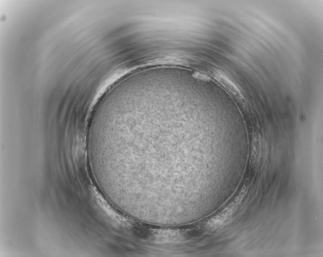 X0000087060800200704251028