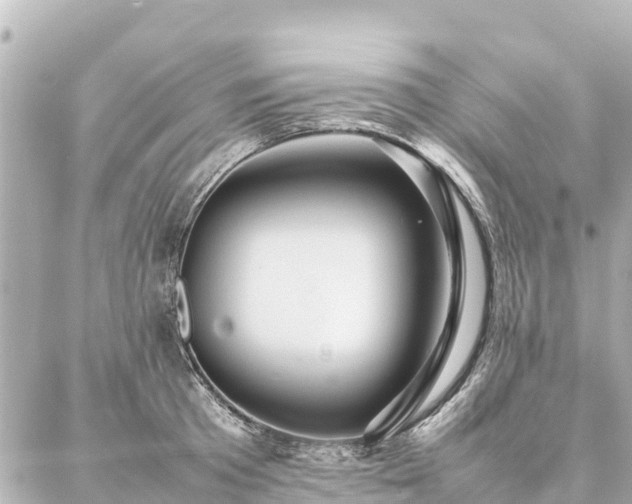 X0000087060801200704251028