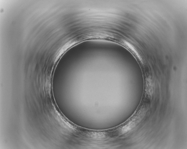 X0000087060802200704251028