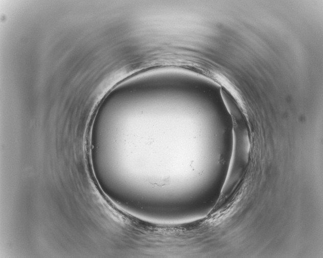 X0000087060803200704251028