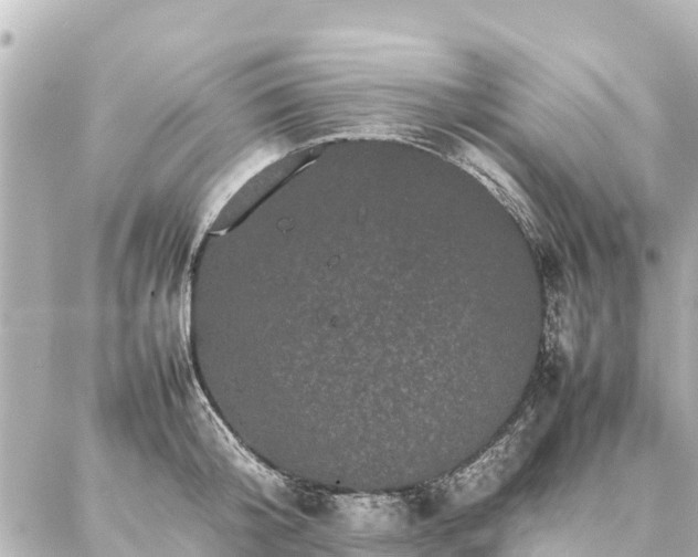 X0000087060804200704251028