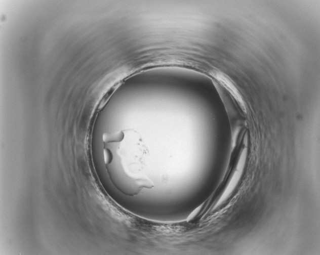 X0000087060805200704251028