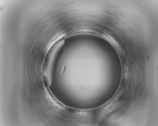 X0000087060806200704251028