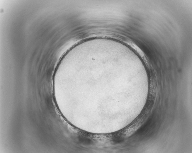 X0000087060807200704251028