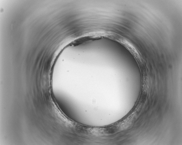 X0000087060808200704251028