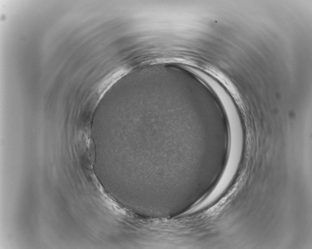 X0000087060809200704251028