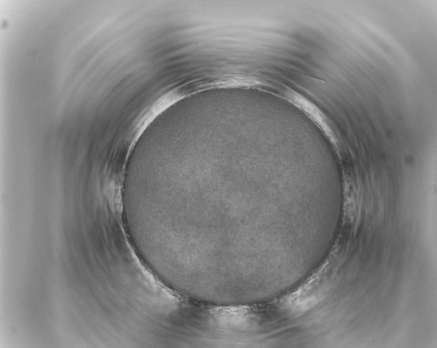 X0000087060810200704251027