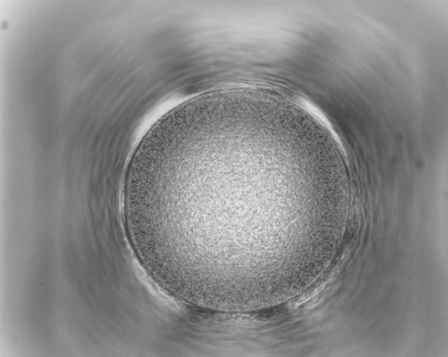 X0000087060811200704251027