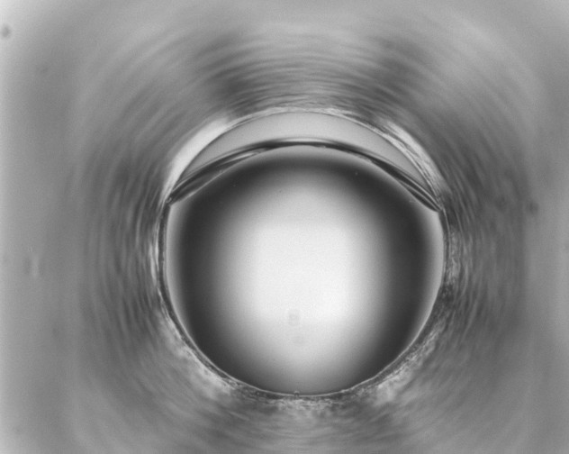 X0000087060812200704251027