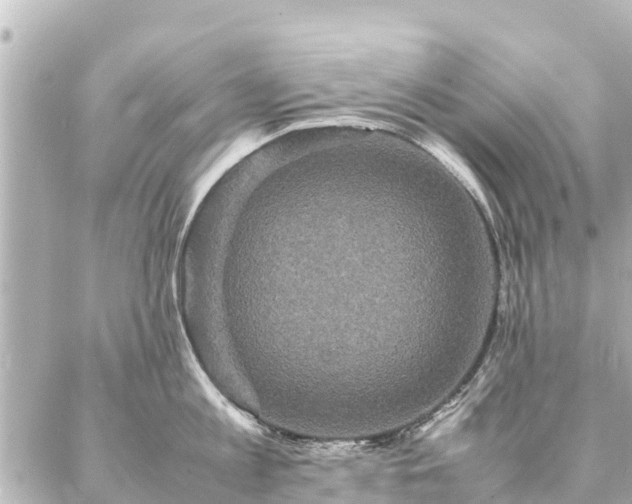 X0000087060813200704251027