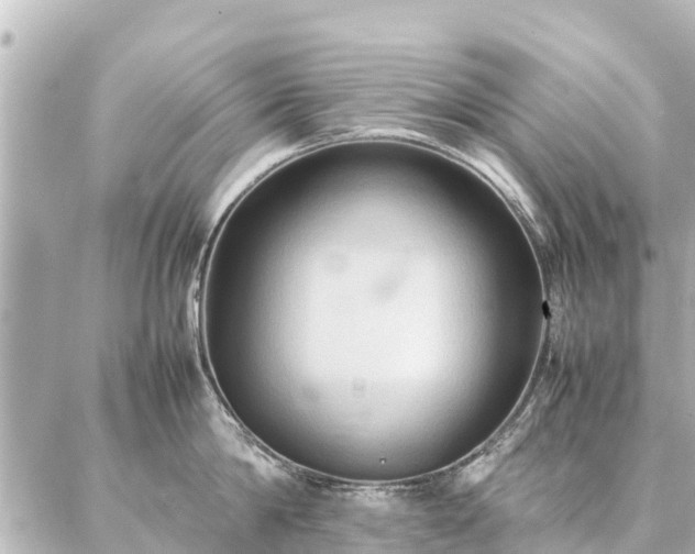 X0000087060814200704251027