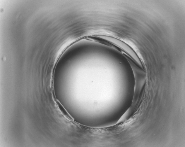 X0000087060815200704251027