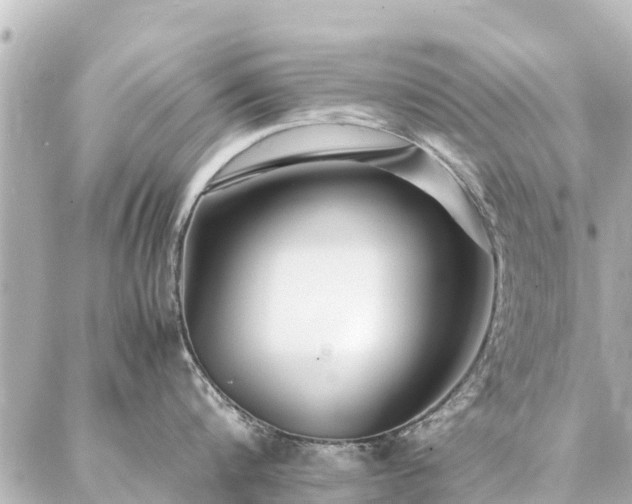 X0000087060816200704251027