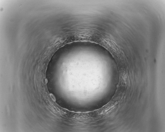 X0000087060817200704251027