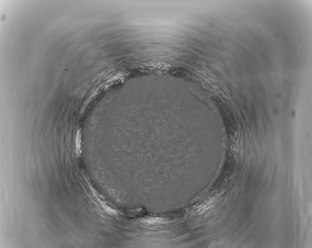 X0000087060818200704251027