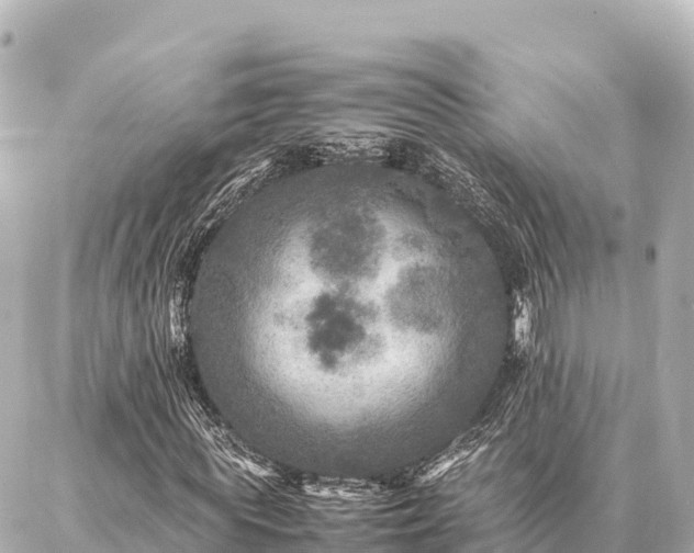 X0000087060819200704251027