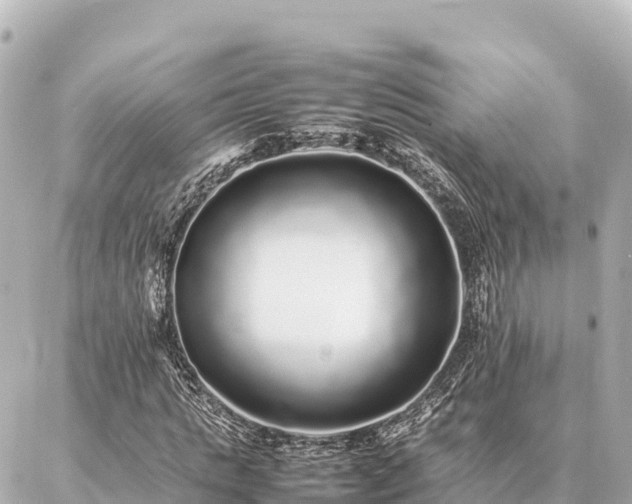 X0000087060821200704251027