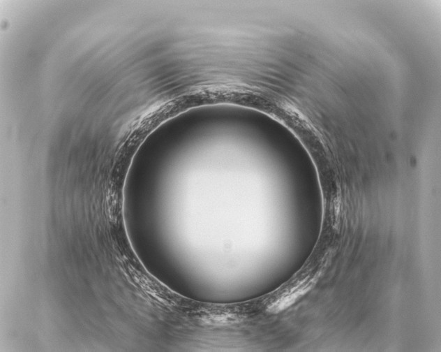 X0000087060822200704251027