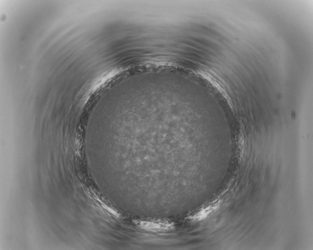 X0000087060823200704251027