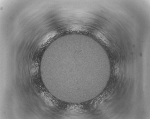 X0000087060824200704251027