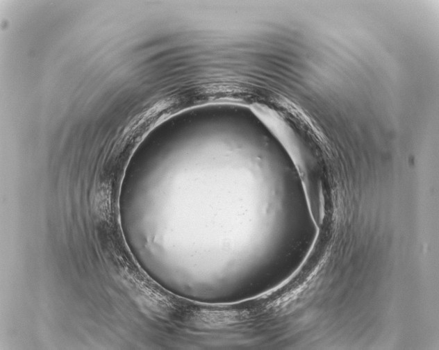 X0000087060825200704251027