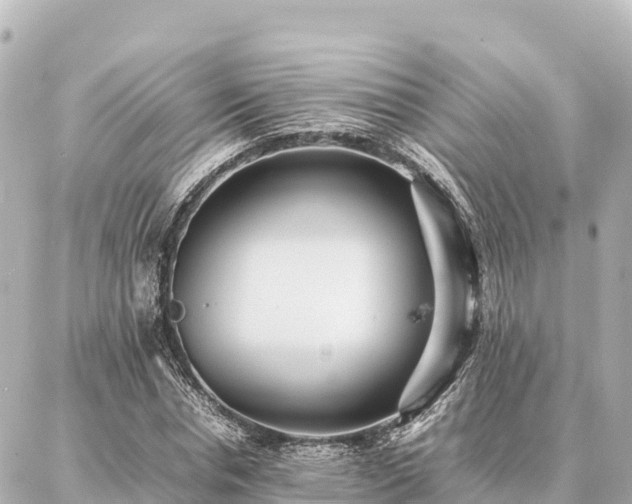 X0000087060826200704251027