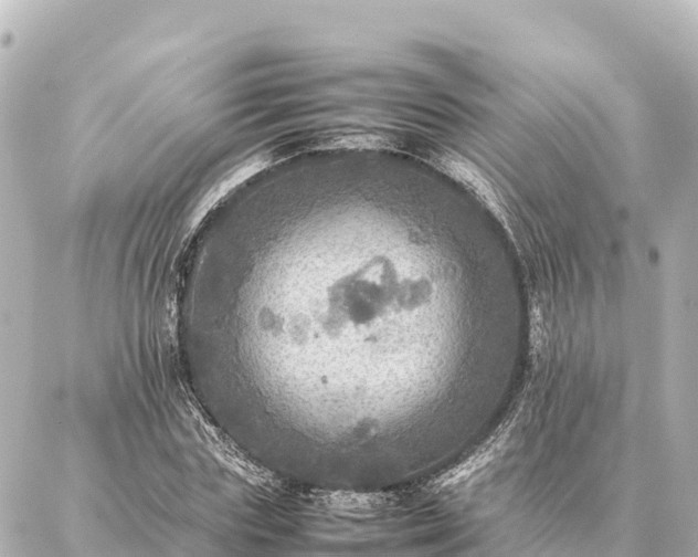 X0000087060827200704251027