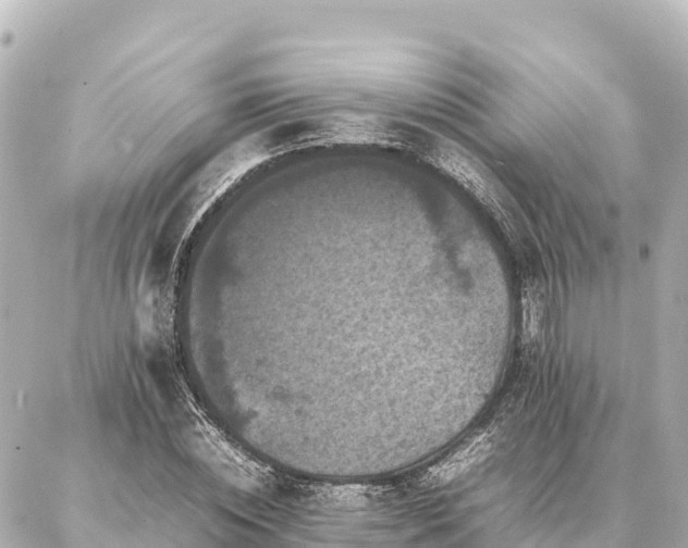 X0000087060828200704251027