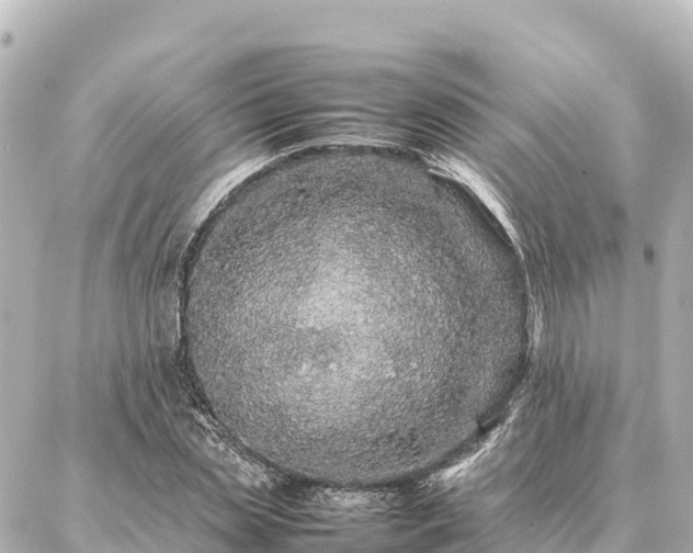 X0000087060829200704251027