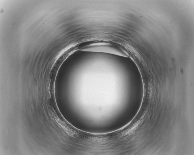 X0000087060830200704251027