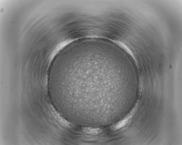 X0000087060831200704251027