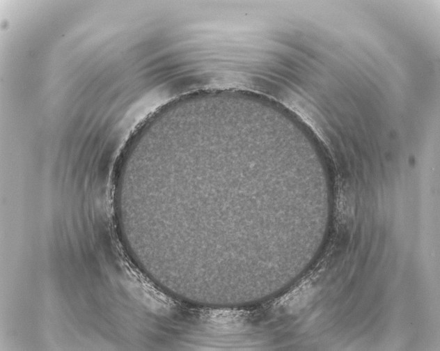 X0000087060832200704251027