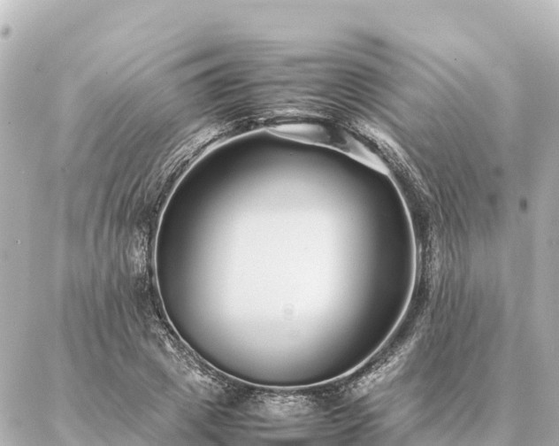 X0000087060833200704251027