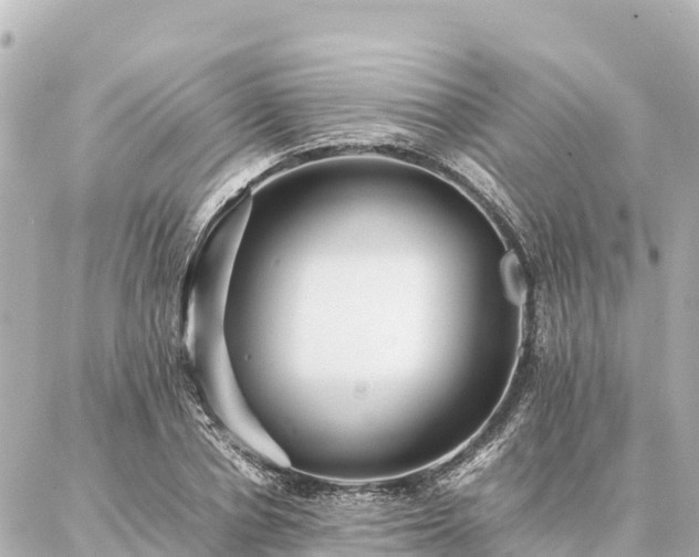 X0000087060834200704251027