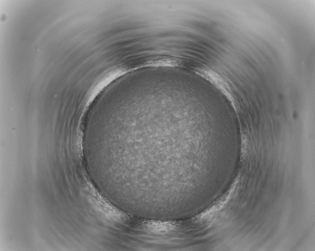 X0000087060835200704251027