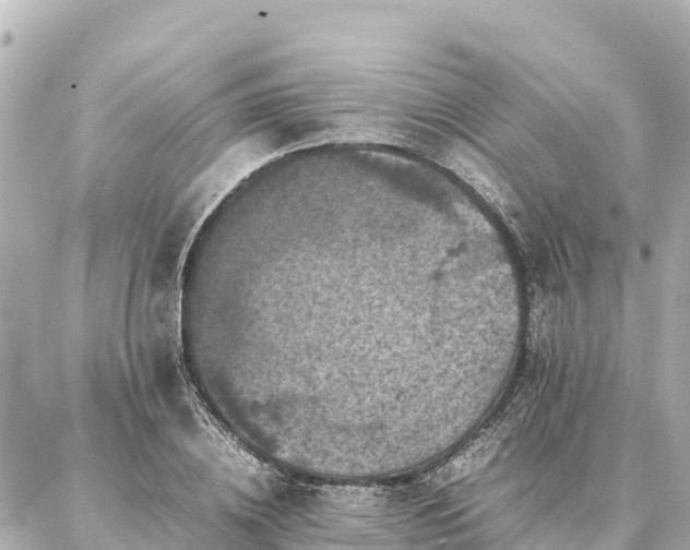 X0000087060836200704251027