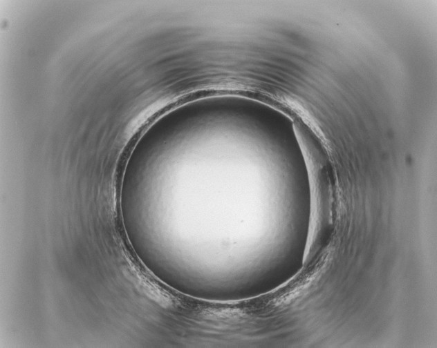 X0000087060837200704251027