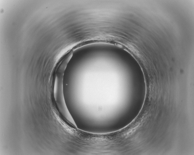 X0000087060838200704251027