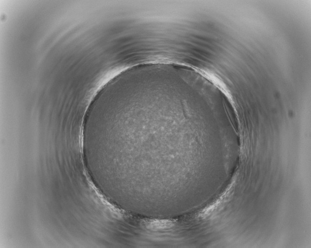 X0000087060839200704251027