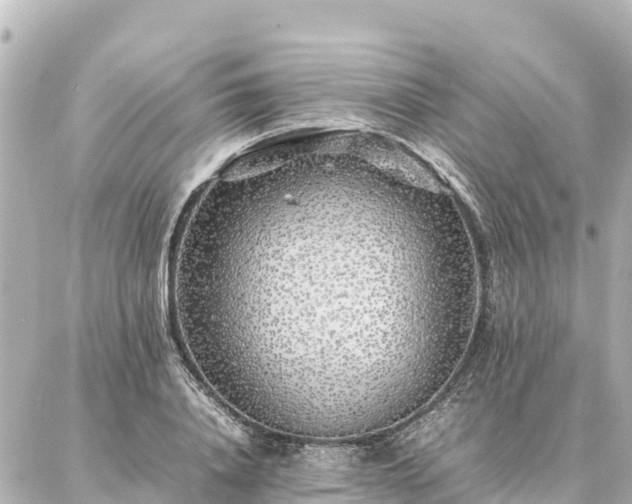 X0000087060840200704251027