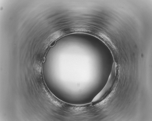 X0000087060841200704251027