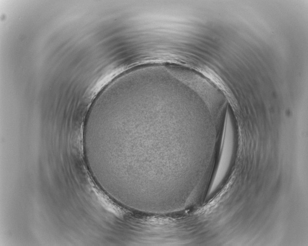 X0000087060842200704251027