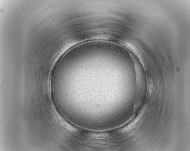 X0000087060843200704251027