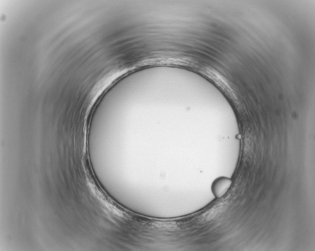 X0000087060844200704251027