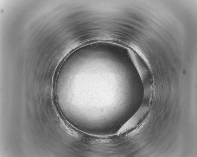 X0000087060845200704251027