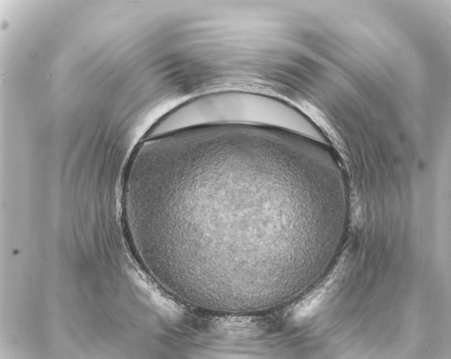 X0000087060846200704251027