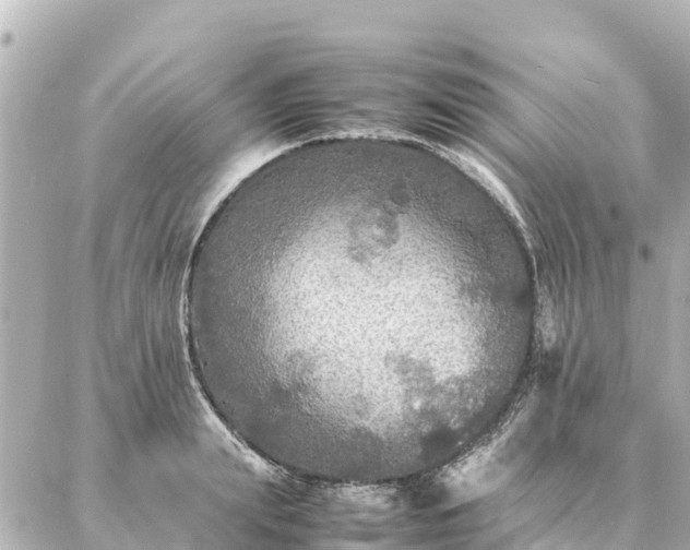 X0000087060847200704251027