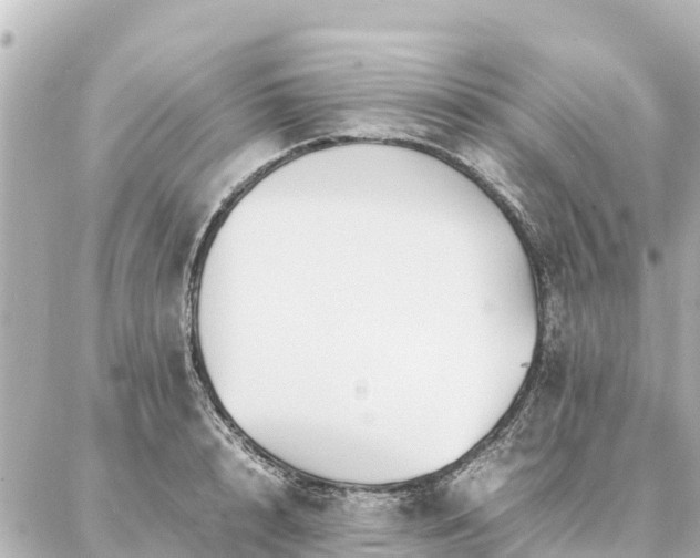 X0000087060848200704251027